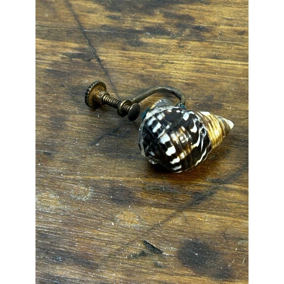 Vintage Seashell Screw-on Earrings Brown White Speckled - Picture 2 of 6